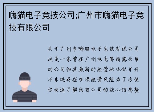 嗨猫电子竞技公司;广州市嗨猫电子竞技有限公司